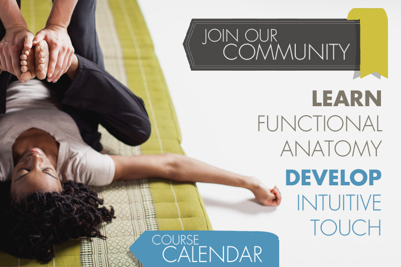 Study with us slider