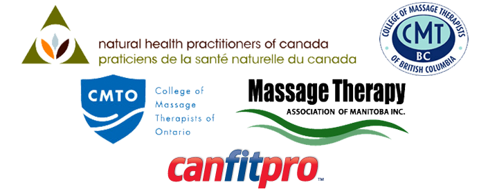 recognized by the CMTO NHPC CMTBC MTAM and canfitpro